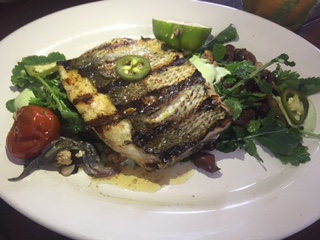 Hartwood Robalo Fish