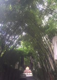 tamarind-village-bamboo-overhead