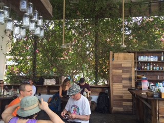 Burrito Amor Wall of Bougainvillea